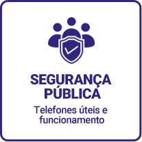 Segurança Pública2